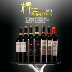 原瓶原装进口智利红酒 桥庄进口酒
